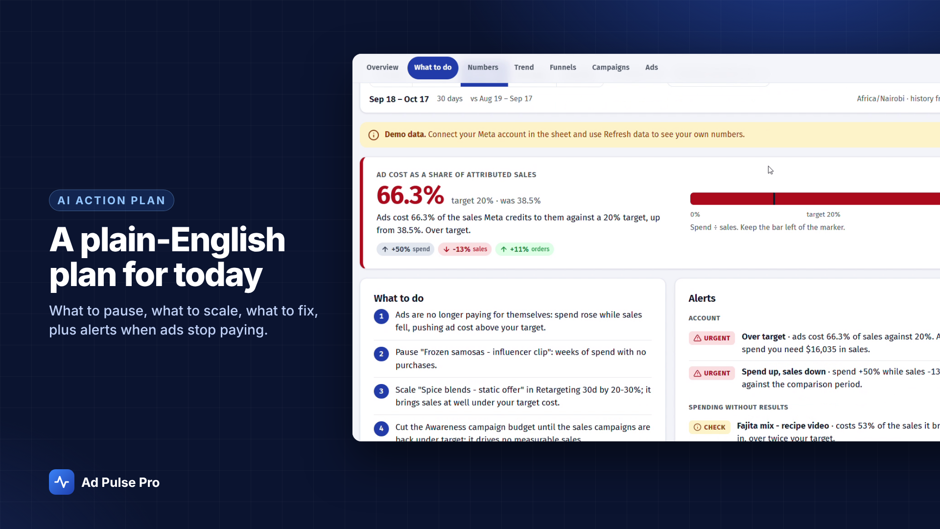 See what to review first: actual Ad Pulse Pro interface with demo data