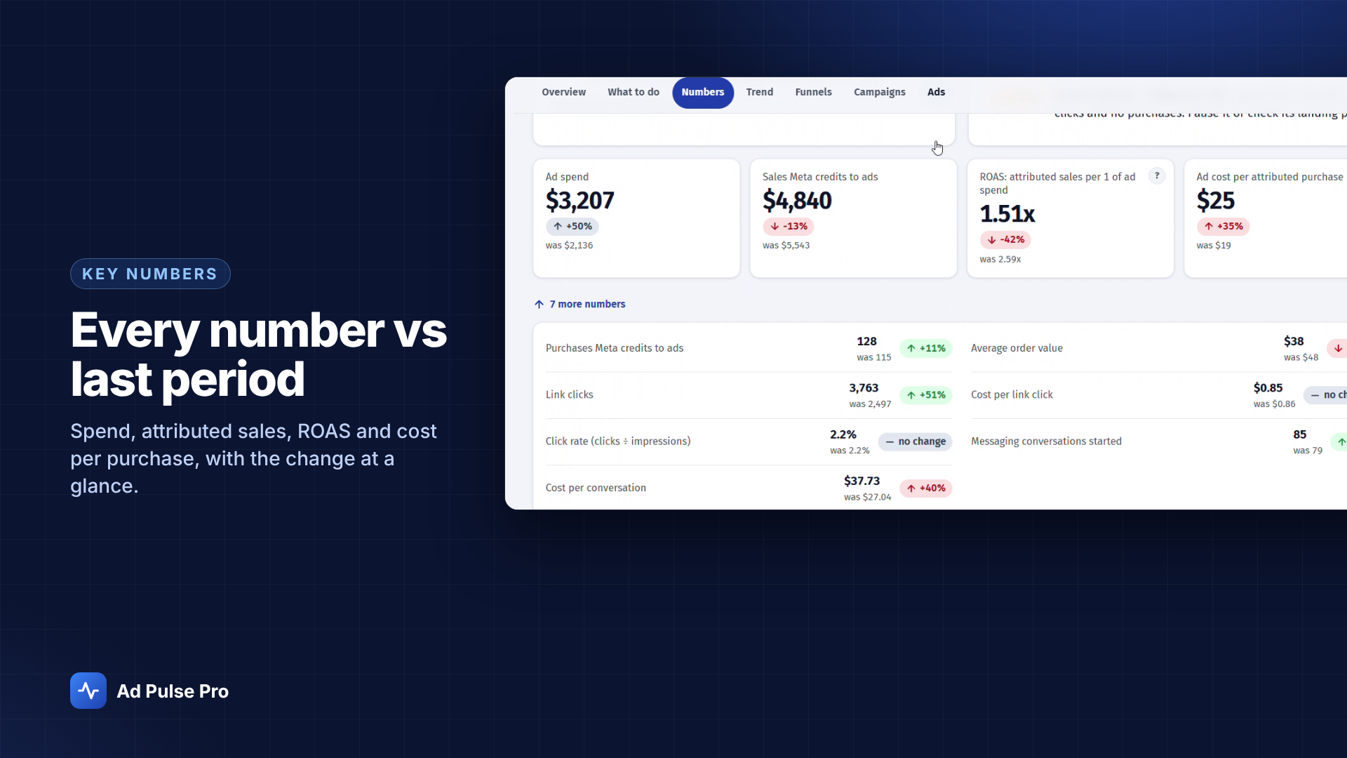 Understand the numbers: actual Ad Pulse Pro interface with demo data