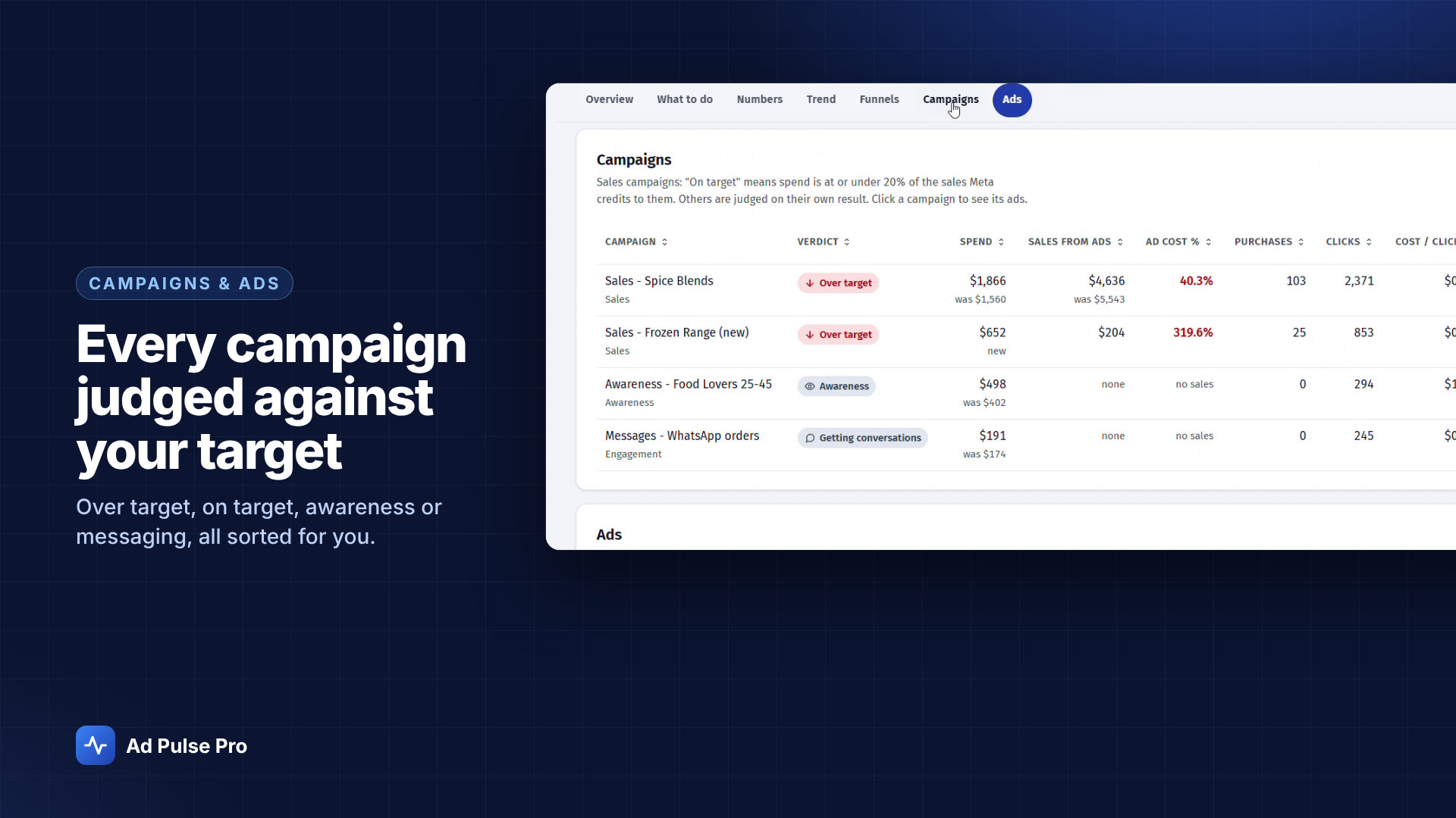 Find the campaigns behind the result: actual Ad Pulse Pro interface with demo data
