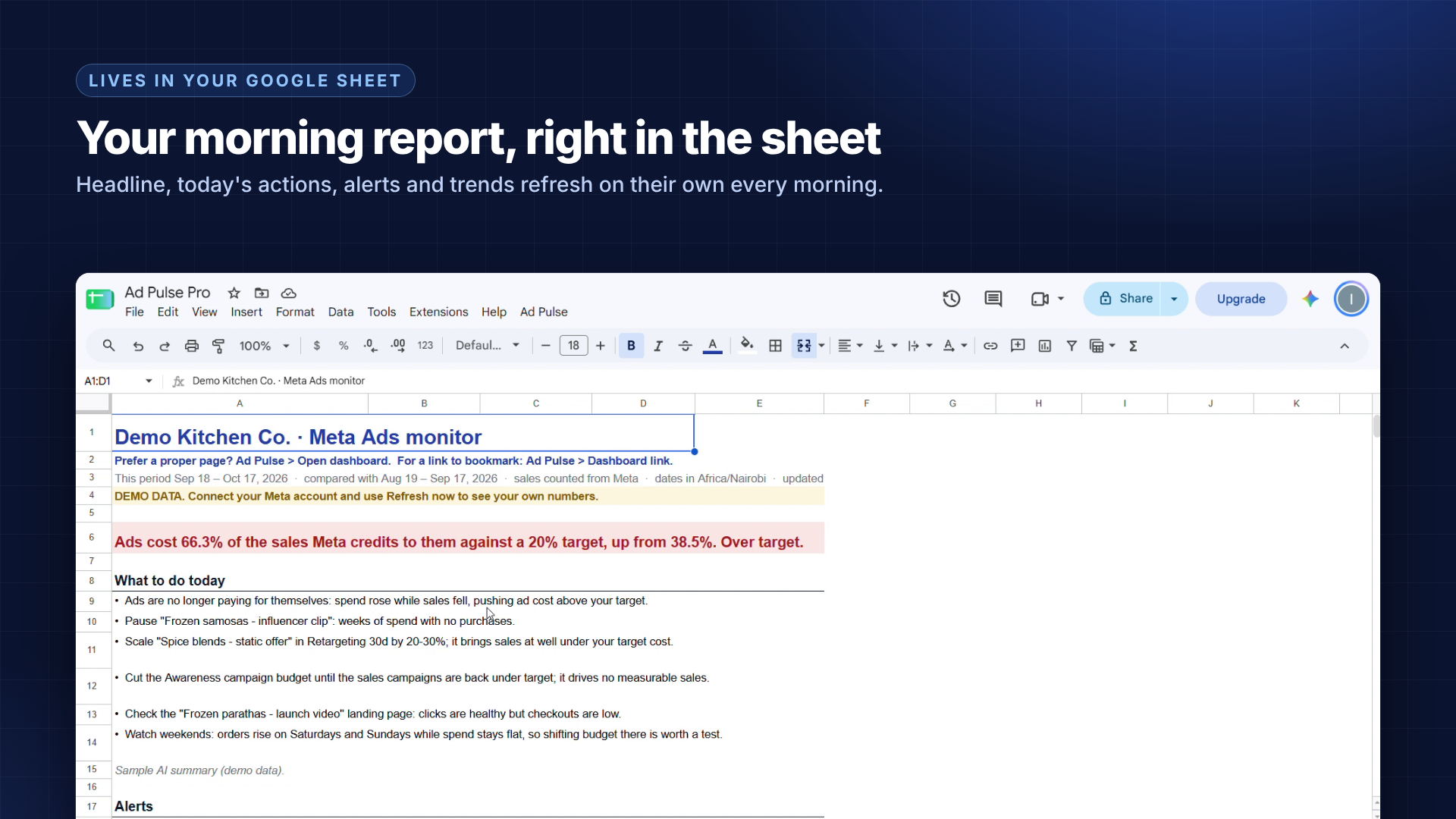 Keep the report in your Google Sheet: actual Ad Pulse Pro interface with demo data
