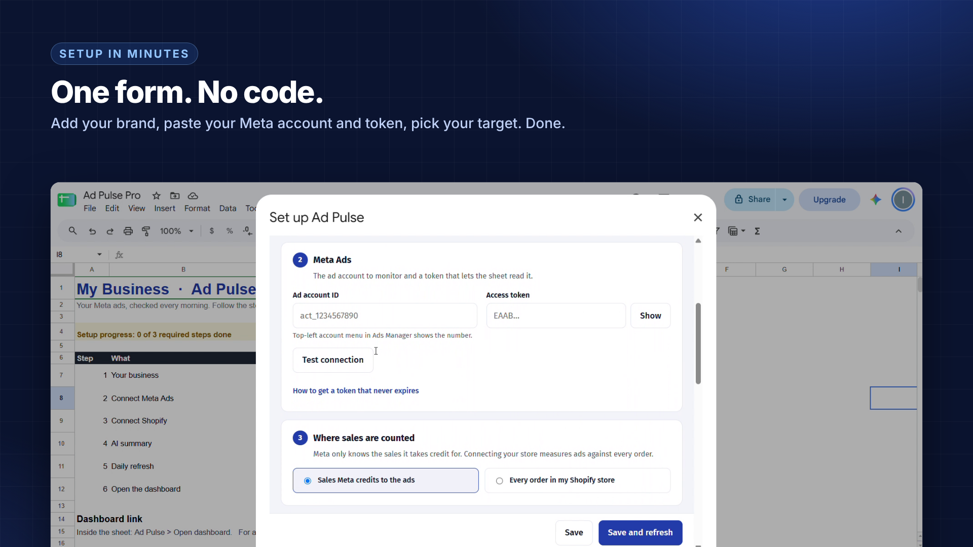Connect through the setup form: actual Ad Pulse Pro interface with demo data